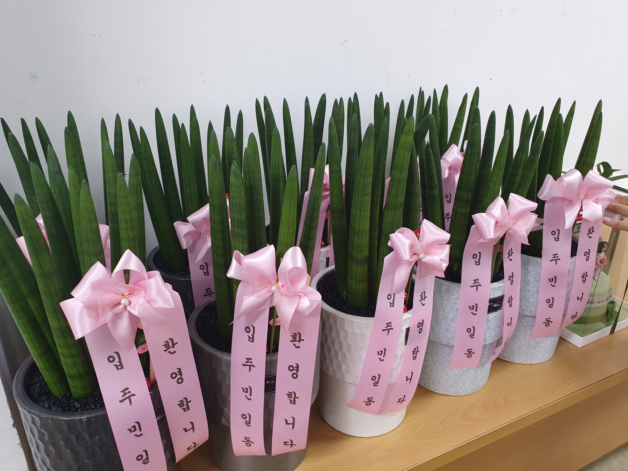 [영구임대아파트 공동체 재생사업] 우산빛여울채 청년주거 개소식(3~12호)