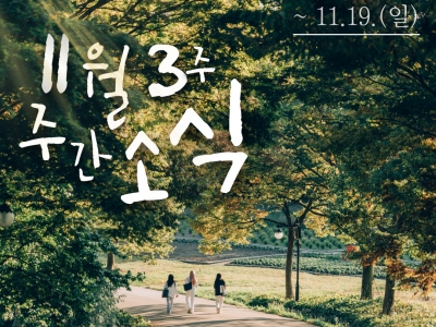 [광주마을공동체 주간소식] 11월 13일 ~ 11월 19일...